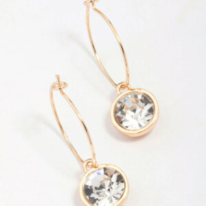 Circle Encased Hoop Earrings